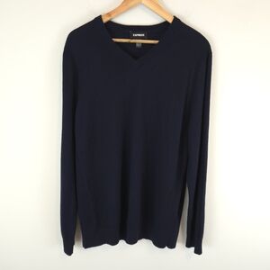 Express Men's Navy 100% Merino Wool V-Neck Sweater